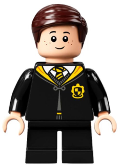 Minifig hp306