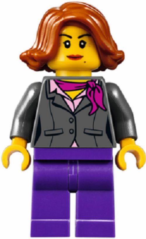 Minifig twn311