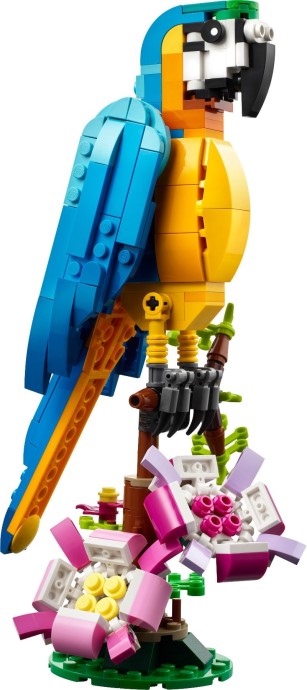 Set 31136-1