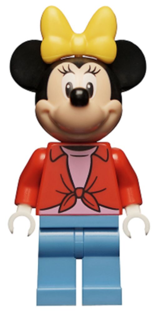 Minifig dis073
