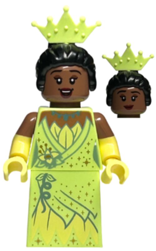 Minifig dis096
