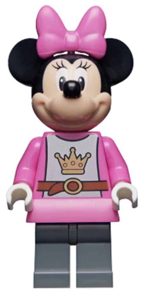 Minifig dis077