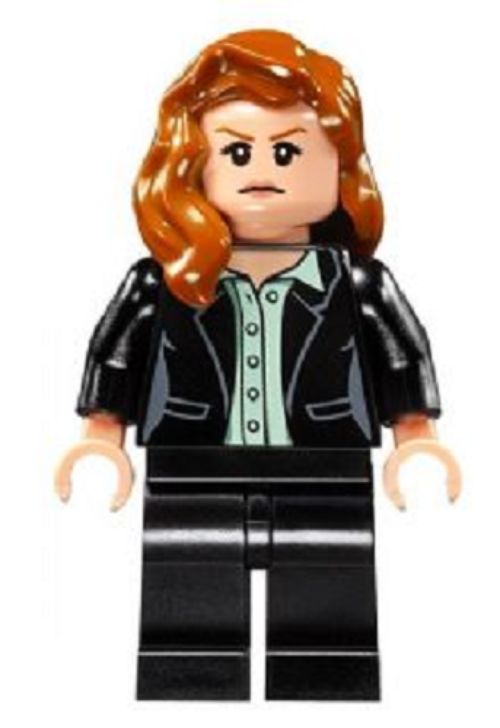 Minifig sh0225