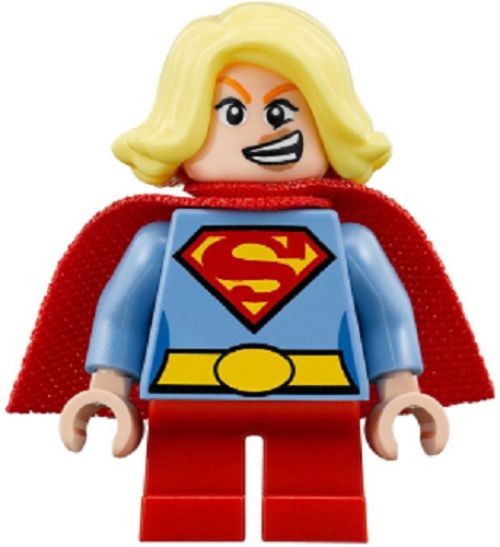 Minifig sh0483