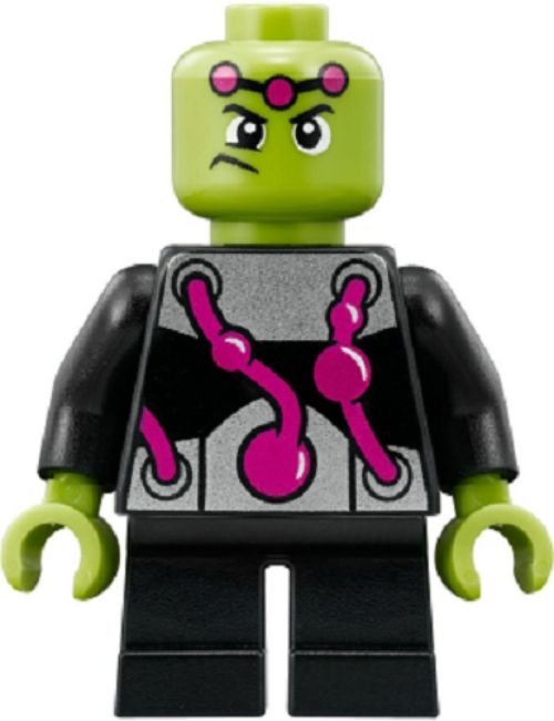 Minifig sh0484