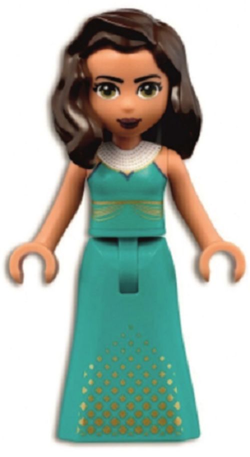 Minifig frnd0451