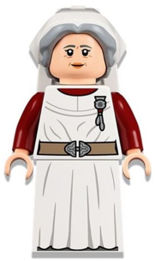 Minifig hp325